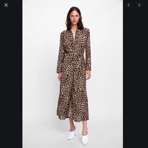 Zara Leopard Print Maxi Dress